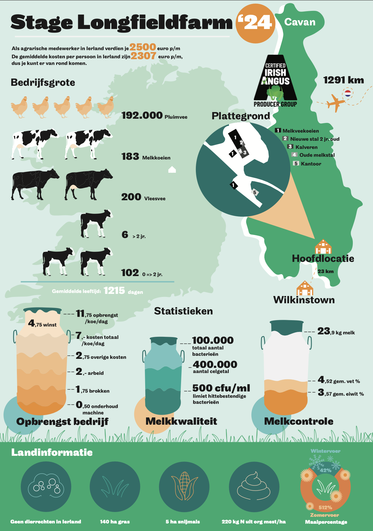Een infographic over ierland en een stage bedrijf